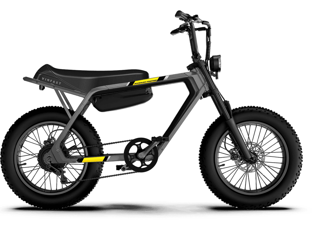 Xe điện DRGNFLY Vinfast giá rẻ tại Đắk Lắk - PHÚ DŨNG